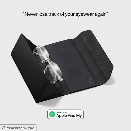 Glasses Case